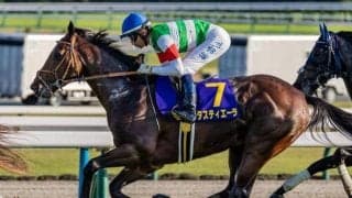 天皇賞(春)を前に「長距離戦は騎手で買え」の格言を分析 成績トップのルメール騎手が不在で注目したい騎手は？