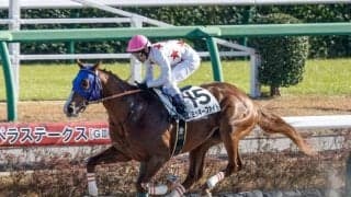 【ユニコーンS予想】地元のアドバンテージで関西馬が大活躍！ 関東馬が好走するために必要な条件とは