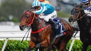 【安田記念】G1・6勝馬ロマンチックウォリアーなど外国馬3頭が予備登録