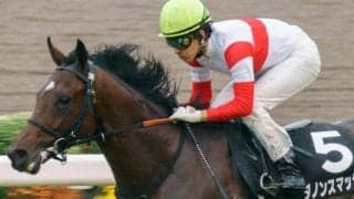 父と叔父もスプリントGI覇者“短距離界のサラブレッド” ルーキーとともにデビュー戦V狙う