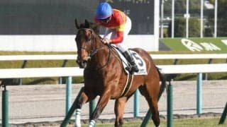 【京都新聞杯想定馬・騎手】ベラジオボンド、プレリュードシチーなど16頭
