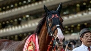 【ヴィクトリアM想定馬・騎手】ナミュール、スタニングローズなど16頭