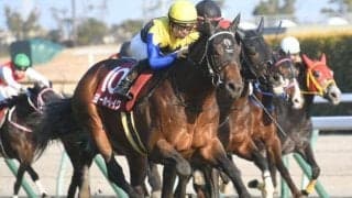 【新潟大賞典想定馬・騎手】ヨーホーレイク、ヤマニンサルバムなど21頭