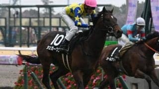 【今日の注目ポイント】東京で青葉賞と京都でユニコーンSの2重賞