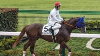 【ユニコーンS予想】東京ダービーTRに生まれ変わった砂の出世レース 新たな舞台でタイトルを獲得する馬は