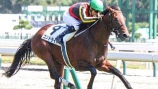 名牝アエロリットの初仔 “マジックマン”とのコンビで未勝利脱出へ