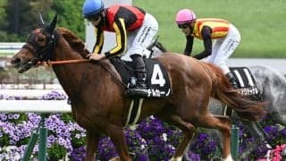 【矢車賞結果】チルカーノが人気に応えて差し切り勝ち