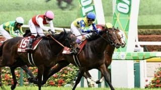 【青葉賞】武豊騎乗、シュガークンがダービーへの切符を獲得