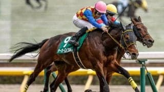 【天皇賞(春)前日オッズ】テーオーロイヤルが2.6倍で1番人気