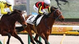 半兄はシュネルマイスター きょうだいGI制覇へオークスへの切符を連勝でつかめるか