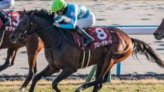 京都芝は内外フラット 舞台巧者のブローザホーンが好配呼ぶか