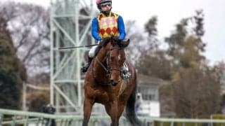 テーオーパスワード＆テーオーサンドニが米国に到着 陣営「日本での輸送競馬の時と比べてさほど変わりはない」