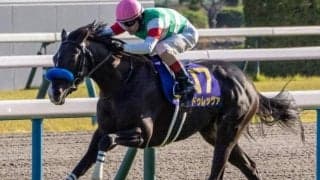 霜降り明星・粗品が天皇賞(春)で3連単21点勝負 本命は前走離された2着も「十分評価できる」