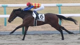 【ケンタッキーダービー】テーオーパスワードがチャーチルダウンズ競馬場に到着