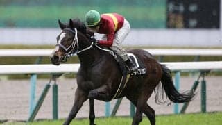 天皇賞・春は「ヒモ荒れ」注意 穴党記者が推奨する好配当の使者はスタミナ秘める２頭