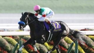 【天皇賞春／馬場情報】テーオーロイヤルよりドゥレッツァに向く「やや硬め」寄り　4歳“菊組”の巻き返しに警戒