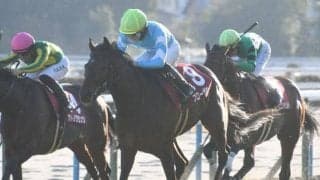 天皇賞(春)デーの京都芝は内＆前有利 ブローザホーンとタスティエーラが有利に