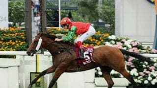 【チェアマンズスプリントプライズ】日本勢は大敗…インビンシブルセージが差し切る