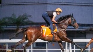 【香港チャンピオンズM】ホー騎手「天候には逆らえない…」ゴールデンシックスティはまさかの4着