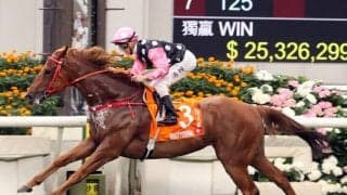 【香港チャンピオンズM】香港ビューティーエターナルが逃げ切る…ゴールデンシックスティはまさかの4着敗退