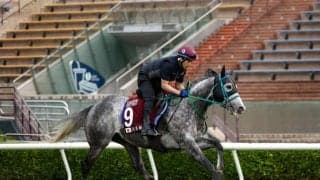 【チェアマンズスプリントプライズ】坂井瑠「この馬の走りが出来なかった」マッドクールは最下位敗退