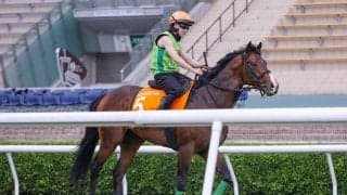 【香港チャンピオンズM】杉山晴師「この馬場でスピードが削がれた」…日本勢は見せ場作れず