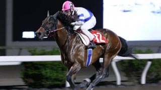 【高知・四万十川特別】ニクソンテソーロが6連勝…赤岡「馬の自信にもなる」