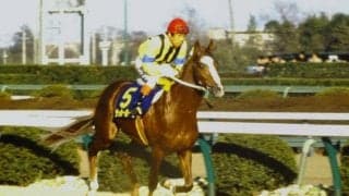 令和でも更新は難しい!? 「昭和の日」に現存する“昭和のレコード”を紹介