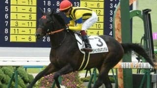 【NHKマイルC見どころ】ベストの距離に戻るジャンタルマンタルがGI・2勝目を狙う