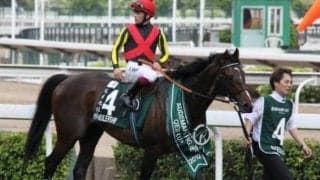 総額1億8000万円の超良血馬が魅せた圧勝劇 種牡馬入りを異国の地で決定づけたQEII世C