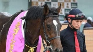 【ユニコーンS】売上は29億7673万9200円で昨年より約32.5億円の大幅減