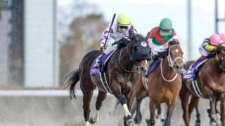 【船橋・かしわ記念枠順】フェブラリーS覇者ペプチドナイルは7枠10番、南関東三冠馬ミックファイアは5枠6番