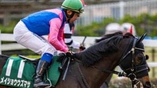 【先週のJRA抹消馬】ダート短距離で活躍のメイショウウズマサ、牝馬二冠馬の仔ヨリマルなど