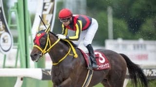 【兵庫チャンピオンシップ】モレイラ騎乗、エートラックスが逃げ切る…武豊イーグルノワールは4着敗退