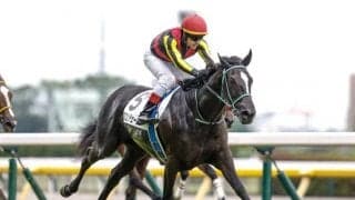 【AI予想・NHKマイルC】前走で大崩れしていない事が勝者の条件!? 人工知能は切れ味自慢の3頭に高評価