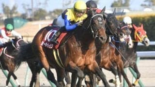 【新潟大賞典想定騎手】ヨーホーレイクは荻野極騎手、レーベンスティールは津村明秀騎手