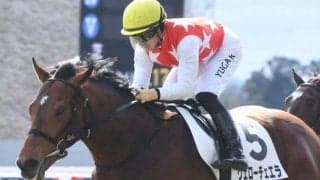 【京都新聞杯想定騎手】ヴェローチェエラは川田将雅騎手、アドマイヤテラはM.デムーロ騎手