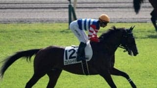 【京都新聞杯展望】ゆったりローテで前走レベル高いプレリュードシチーに注目