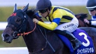 意外にも史上初！阪神JFと朝日杯FSの覇者がNHKマイルCで直接対決