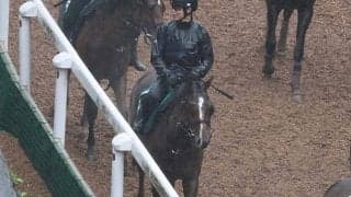 ビートマッチの2022(バズアップビート)など、先週の入厩情報/栗東トレセンニュース