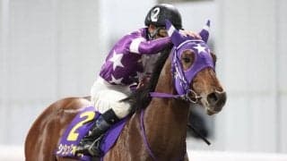 【船橋・東京湾C枠順】前走で初タイトル手にしたシシュフォスは7枠9番
