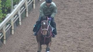 キャッスルレイクなど、先週のゲート試験/栗東トレセンニュース