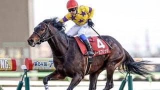 ノースブリッジがプリンスオブウェールズSに予備登録