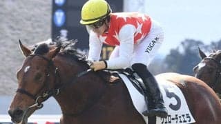 【京都新聞杯予想オッズ】ヴェローチェエラが予想1番人気