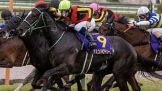 【NHKマイルC展望】好走条件に合致するアスコリピチェーノが中心