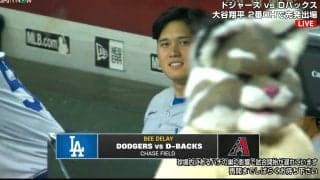 大谷翔平、蜂騒動の最中に訪問の敵マスコットと談笑 スタジアムBGMで名曲「Let It Be」の粋な演出も