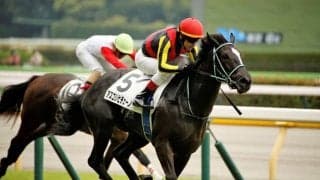 【NHKマイルC】アスコリピチェーノはルメール騎手に決定