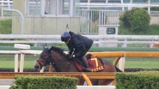 ドゥアイズなど、ヴィクトリアM1週前追い切り速報/栗東トレセンニュース