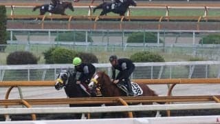 コンクシェル、ヴィクトリアM1週前追い切り速報/栗東トレセンニュース