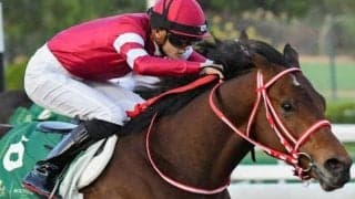 フォーエバーヤング日本馬初の快挙へ ウマ娘・藤田晋オーナーにG1タイトルを届けるか